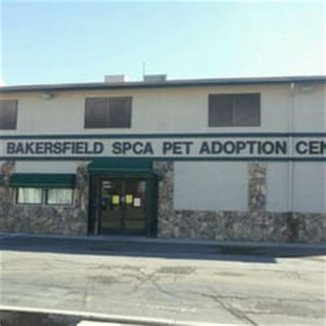 pet shelter bakersfield|Pets for Adoption at Bakersfield SPCA, in Bakersfield, CA .